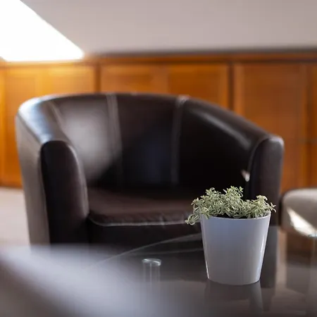 Beachfront Calm Sea Preko